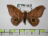  ( - BC-FMP-0535)  @14 [ ] Copyright (2010) Unspecified Research Collection of Frank Meister