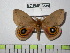  ( - BC-FMP-0539)  @11 [ ] Copyright (2010) Unspecified Research Collection of Frank Meister