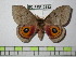  ( - BC-FMP-0542)  @13 [ ] Copyright (2010) Unspecified Research Collection of Frank Meister