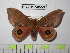  ( - BC-FMP-0553)  @11 [ ] Copyright (2010) Unspecified Research Collection of Frank Meister