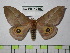  ( - BC-FMP-0563)  @11 [ ] Copyright (2010) Unspecified Research Collection of Frank Meister