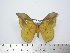  ( - BC-FMP-1896)  @11 [ ] Copyright (2010) Unspecified Research Collection of Frank Meister