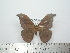  ( - BC-FMP-1902)  @13 [ ] Copyright (2010) Unspecified Research Collection of Frank Meister