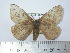  ( - BC-FMP-1952)  @11 [ ] Copyright (2010) Unspecified Research Collection of Frank Meister