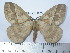  ( - BC-FMP-1953)  @14 [ ] Copyright (2010) Unspecified Research Collection of Frank Meister