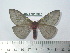  ( - BC-FMP-1957)  @14 [ ] Copyright (2010) Unspecified Research Collection of Frank Meister