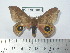  ( - BC-FMP-1964)  @13 [ ] Copyright (2010) Unspecified Research Collection of Frank Meister