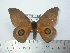 ( - BC-FMP-1970)  @12 [ ] Copyright (2010) Unspecified Research Collection of Frank Meister