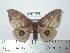  ( - BC-FMP-1972)  @12 [ ] Copyright (2010) Unspecified Research Collection of Frank Meister
