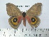  ( - BC-FMP-1973)  @14 [ ] Copyright (2010) Unspecified Research Collection of Frank Meister