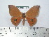  ( - BC-FMP-1975)  @11 [ ] Copyright (2010) Unspecified Research Collection of Frank Meister