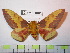  ( - BC-FMP-1001)  @14 [ ] Copyright (2010) Unspecified Research Collection of Frank Meister