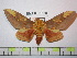  ( - BC-FMP-1003)  @14 [ ] Copyright (2010) Unspecified Research Collection of Frank Meister