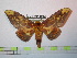  ( - BC-FMP-1012)  @14 [ ] Copyright (2010) Unspecified Research Collection of Frank Meister
