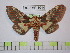  ( - BC-FMP-1014)  @14 [ ] Copyright (2010) Unspecified Research Collection of Frank Meister