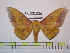  ( - BC-FMP-1032)  @14 [ ] Copyright (2010) Unspecified Research Collection of Frank Meister