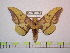  ( - BC-FMP-1050)  @14 [ ] Copyright (2010) Unspecified Research Collection of Frank Meister