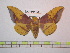  ( - BC-FMP-1051)  @14 [ ] Copyright (2010) Unspecified Research Collection of Frank Meister