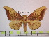  ( - BC-FMP-1054)  @15 [ ] Copyright (2010) Unspecified Research Collection of Frank Meister