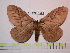  ( - BC-FMP-1068)  @15 [ ] Copyright (2010) Unspecified Research Collection of Frank Meister
