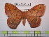  ( - BC-FMP-1073)  @11 [ ] Copyright (2010) Unspecified Research Collection of Frank Meister