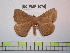  ( - BC-FMP-1076)  @13 [ ] Copyright (2010) Unspecified Research Collection of Frank Meister