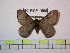  ( - BC-FMP-1099)  @13 [ ] Copyright (2010) Unspecified Research Collection of Frank Meister