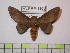  ( - BC-FMP-1108)  @12 [ ] Copyright (2010) Unspecified Research Collection of Frank Meister