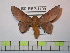  ( - BC-FMP-1109)  @13 [ ] Copyright (2010) Unspecified Research Collection of Frank Meister