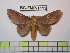  ( - BC-FMP-1113)  @11 [ ] Copyright (2010) Unspecified Research Collection of Frank Meister