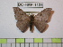  ( - BC-FMP-1123)  @13 [ ] Copyright (2010) Unspecified Research Collection of Frank Meister