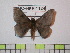  ( - BC-FMP-1124)  @13 [ ] Copyright (2010) Unspecified Research Collection of Frank Meister