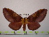  ( - BC-FMP-1240)  @13 [ ] Copyright (2010) Unspecified Research Collection of Frank Meister