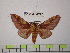  ( - BC-FMP-1242)  @13 [ ] Copyright (2010) Unspecified Research Collection of Frank Meister