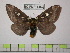  ( - BC-FMP-1260)  @14 [ ] Copyright (2010) Unspecified Research Collection of Frank Meister