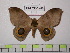  ( - BC-FMP-1263)  @14 [ ] Copyright (2010) Unspecified Research Collection of Frank Meister
