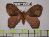  ( - BC-FMP-1274)  @13 [ ] Copyright (2010) Unspecified Research Collection of Frank Meister