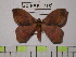  ( - BC-FMP-1275)  @13 [ ] Copyright (2010) Unspecified Research Collection of Frank Meister
