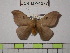  ( - BC-FMP-1277)  @13 [ ] Copyright (2010) Unspecified Research Collection of Frank Meister