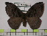  ( - BC-FMP-1280)  @12 [ ] Copyright (2010) Unspecified Research Collection of Frank Meister