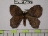  ( - BC-FMP-1282)  @13 [ ] Copyright (2010) Unspecified Research Collection of Frank Meister