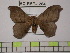  ( - BC-FMP-1284)  @13 [ ] Copyright (2010) Unspecified Research Collection of Frank Meister