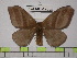  ( - BC-FMP-1285)  @11 [ ] Copyright (2010) Unspecified Research Collection of Frank Meister