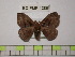  ( - BC-FMP-1286)  @12 [ ] Copyright (2010) Unspecified Research Collection of Frank Meister
