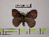  ( - BC-FMP-1288)  @13 [ ] Copyright (2010) Unspecified Research Collection of Frank Meister