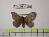  ( - BC-FMP-1292)  @11 [ ] Copyright (2010) Unspecified Research Collection of Frank Meister