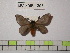  ( - BC-FMP-1293)  @11 [ ] Copyright (2010) Unspecified Research Collection of Frank Meister