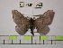  ( - BC-FMP-1294)  @13 [ ] Copyright (2010) Unspecified Research Collection of Frank Meister