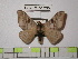  ( - BC-FMP-1295)  @13 [ ] Copyright (2010) Unspecified Research Collection of Frank Meister