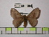 ( - BC-FMP-1296)  @13 [ ] Copyright (2010) Unspecified Research Collection of Frank Meister
